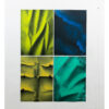 Cuadriptic - Nature spring - Image 2