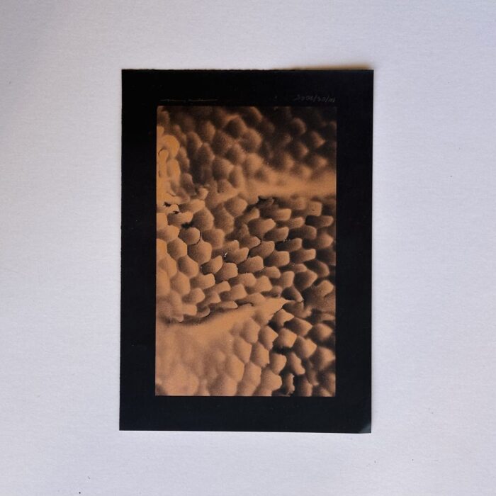Mini Experiments N°03 - Image 3