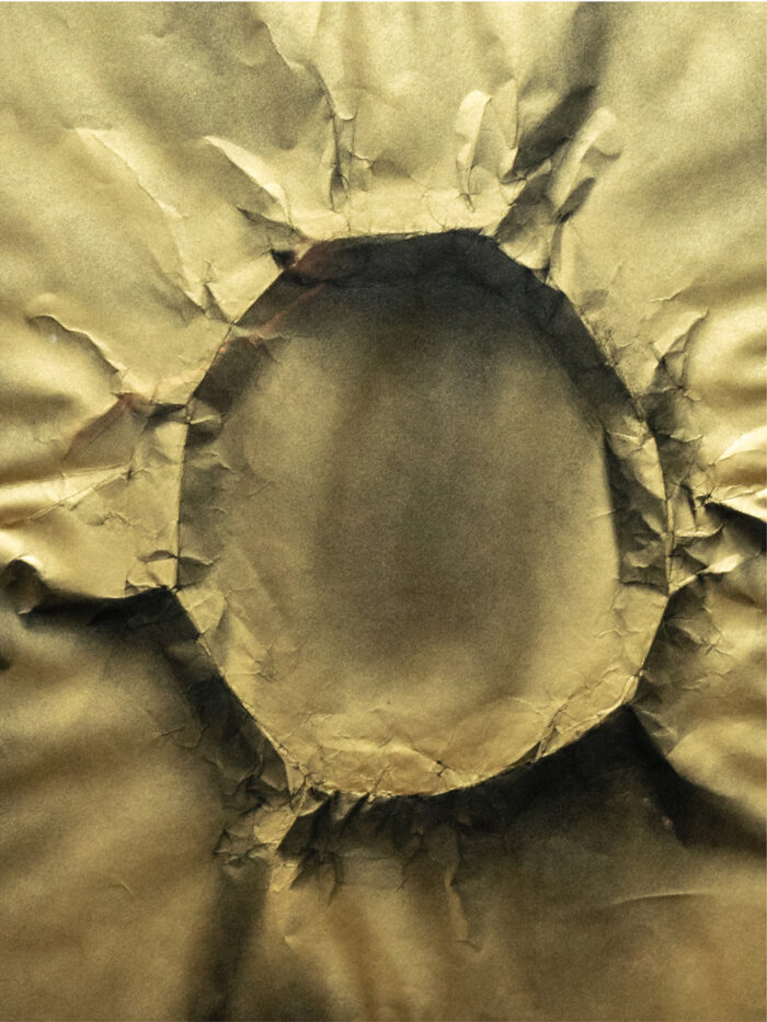 Golden egg - Image 3